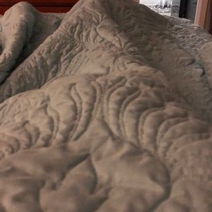 Meet your Posher, Shelly